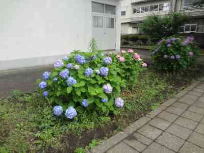 DSC00089